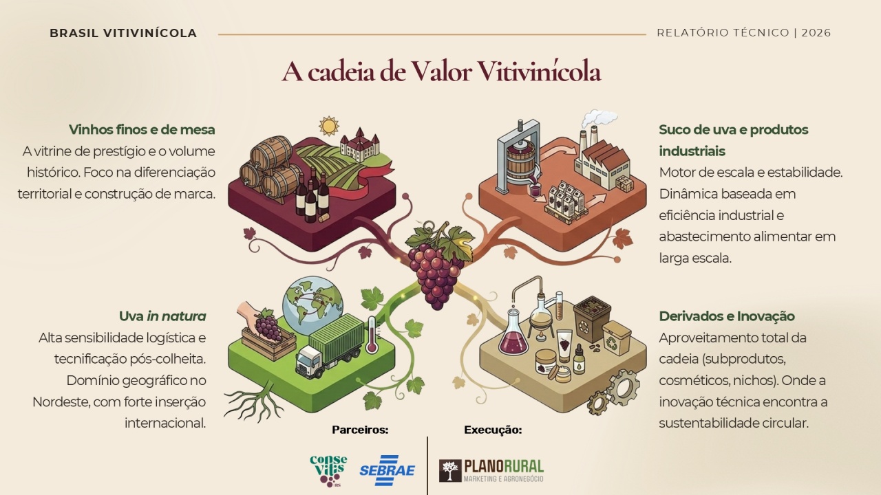 Cadeia-de-Valor