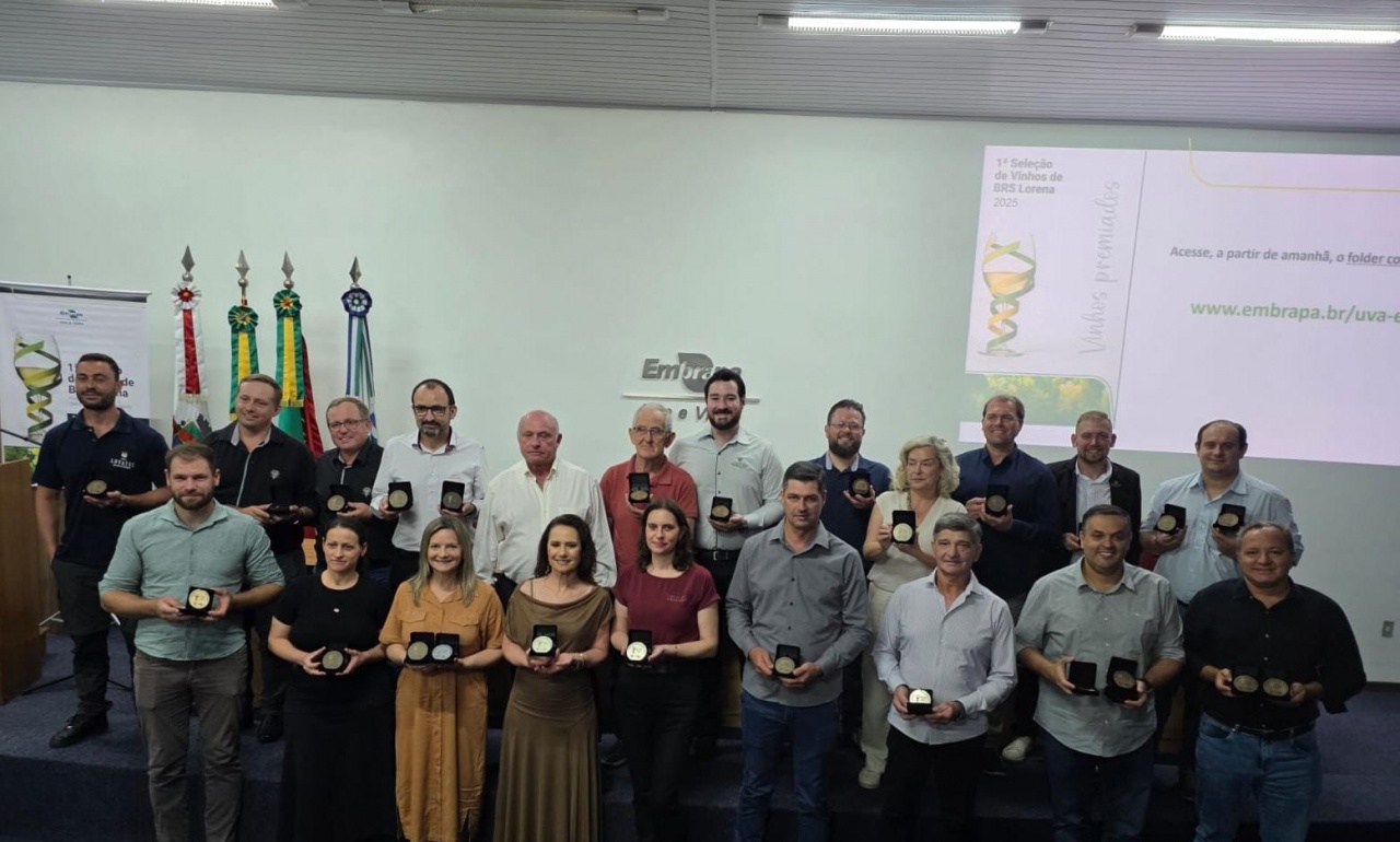 seleção lorena