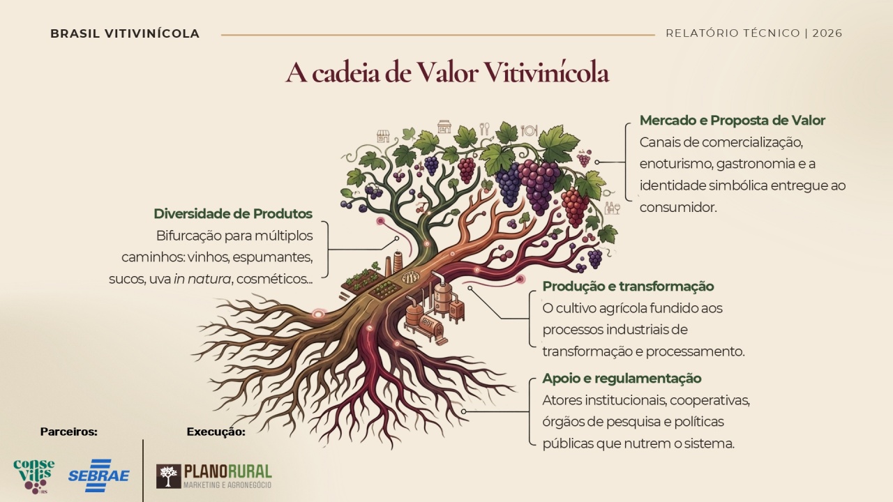 Cadeia-de-Valor